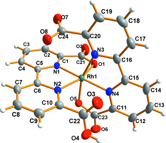 [Figure 1]