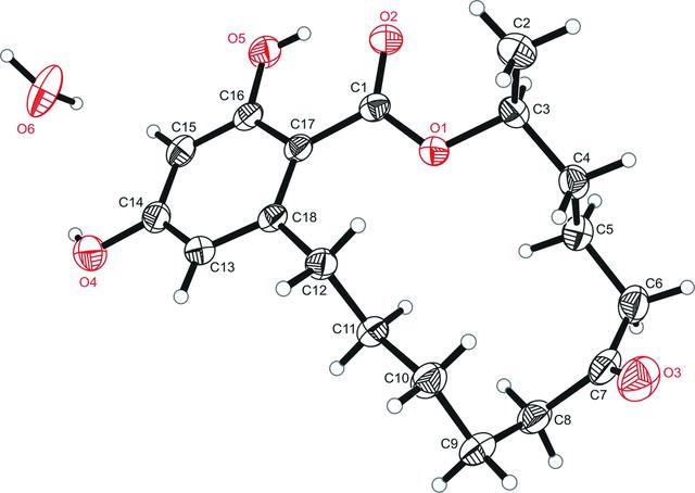 [Figure 1]