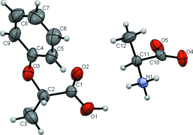 [Figure 1]