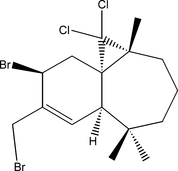 [Scheme 1]