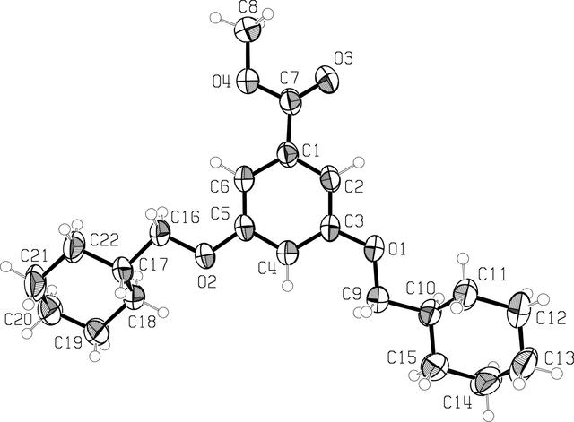 [Figure 1]