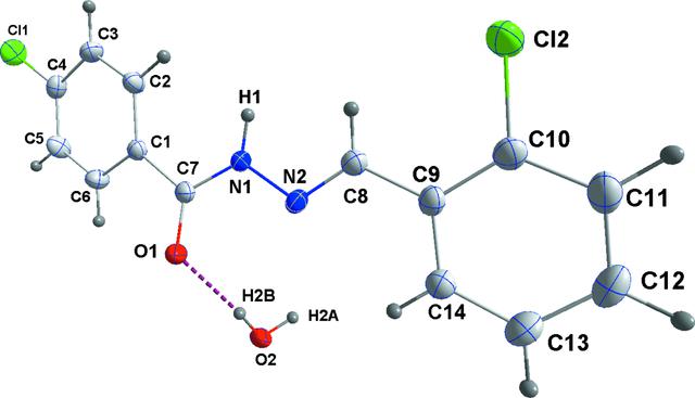 [Figure 1]