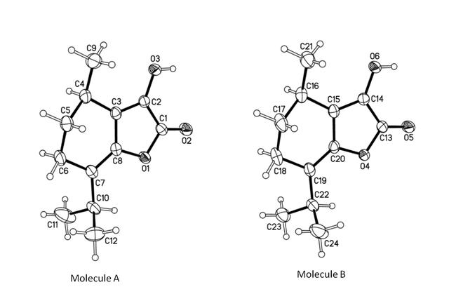 [Figure 1]