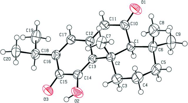 [Figure 1]