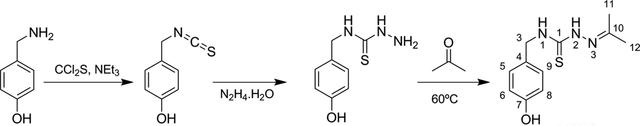 [Figure 1]