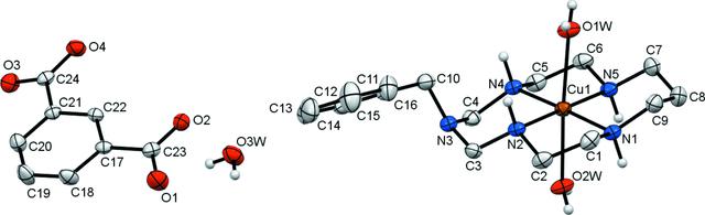 [Figure 1]