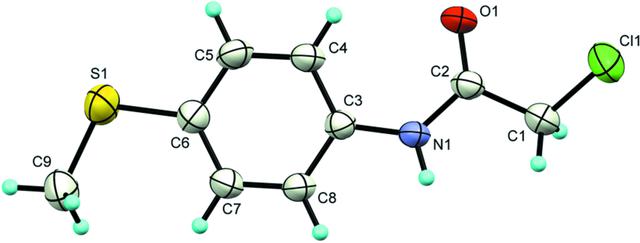 [Figure 1]