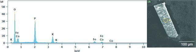 [Figure 4]