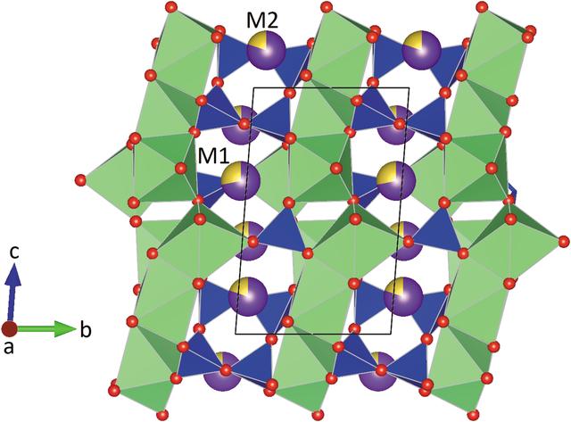 [Figure 5]