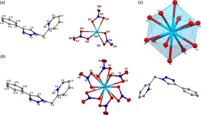 [Figure 1]