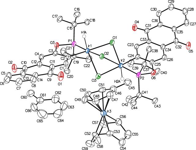 [Figure 2]