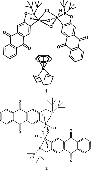 [Scheme 1]