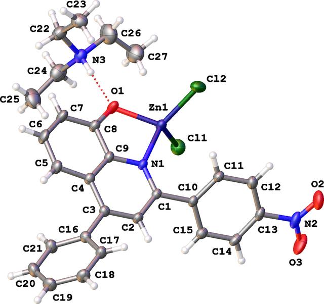 [Figure 1]