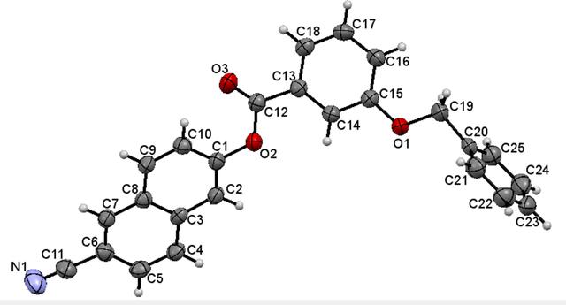 [Figure 1]