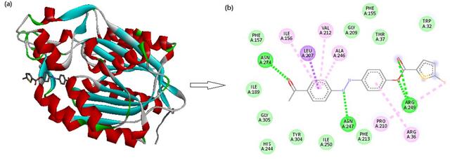 [Figure 9]