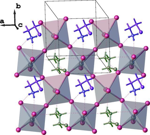 [Figure 4]