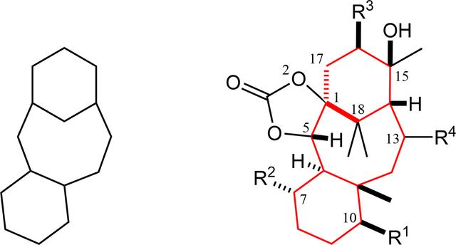 [Figure 1]