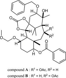 [Scheme 1]