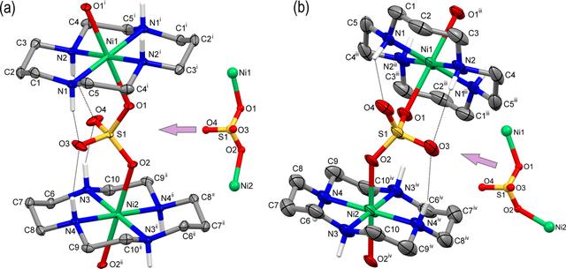 [Figure 1]