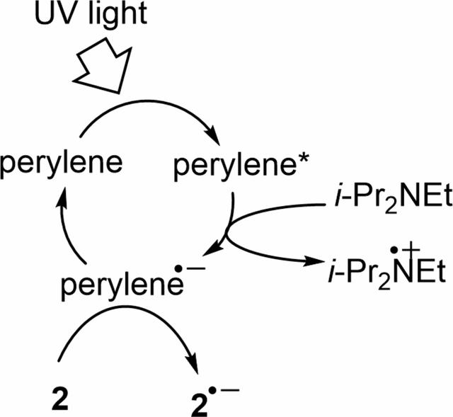 [Figure 5]