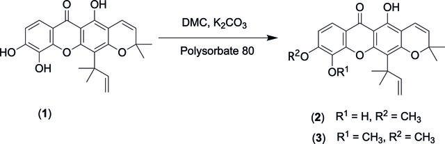 [Figure 1]