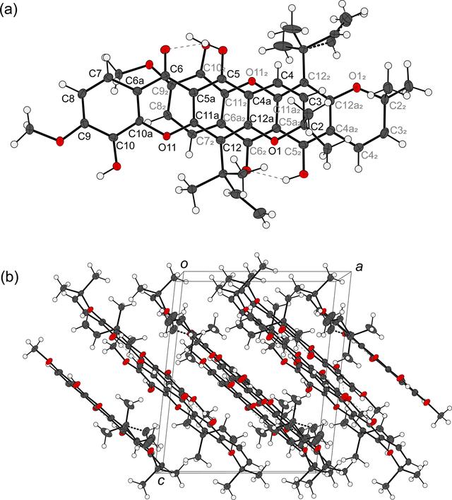 [Figure 4]