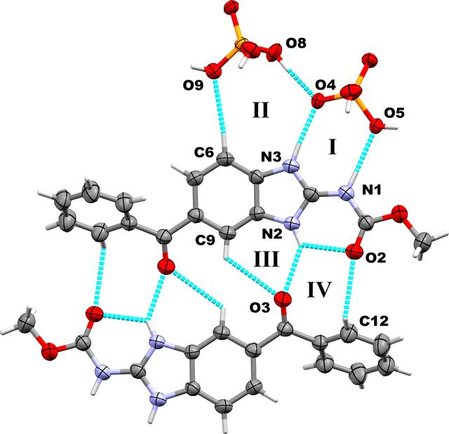 [Figure 3]