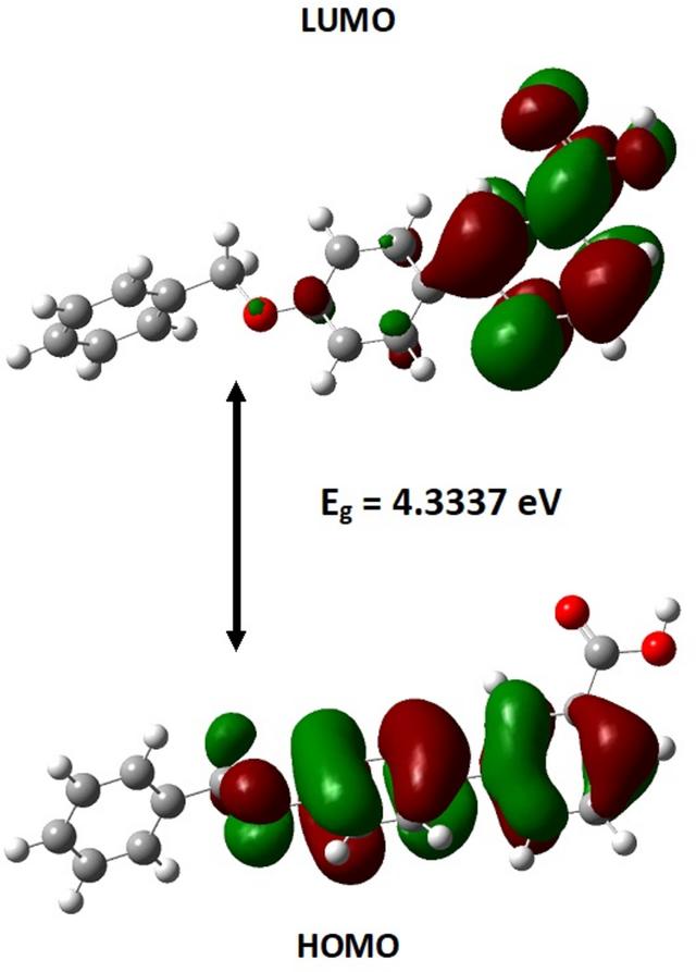 [Figure 8]