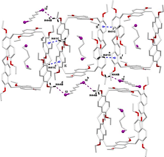 [Figure 5]