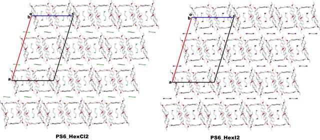 [Figure 6]