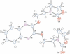 [Figure 1]