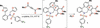 [Figure 1]