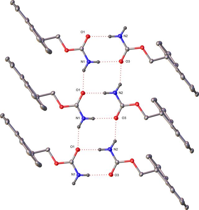 [Figure 6]