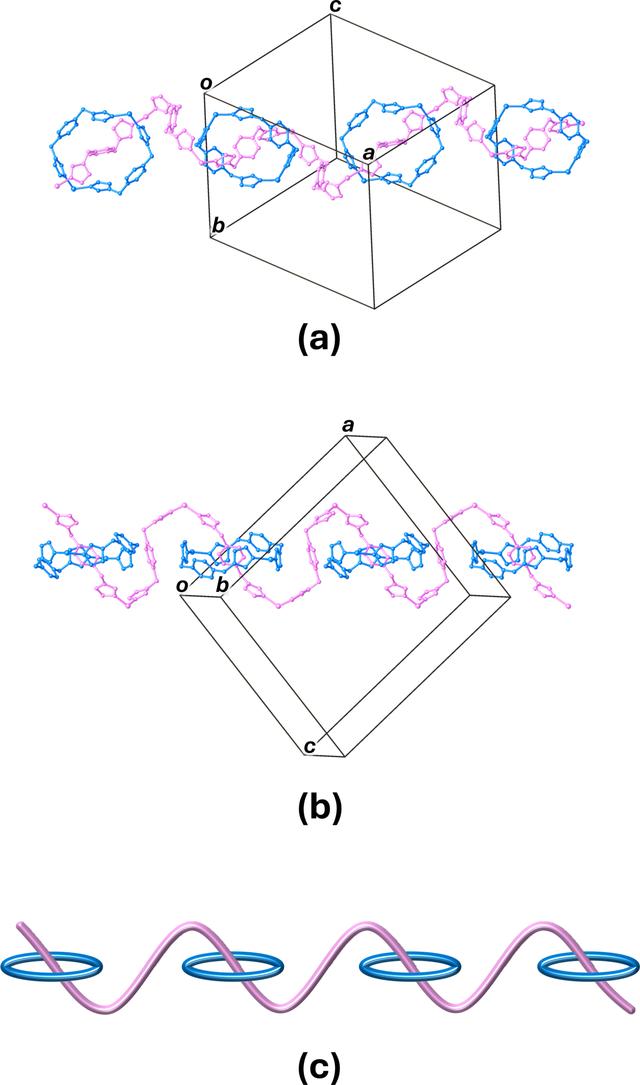 [Figure 4]