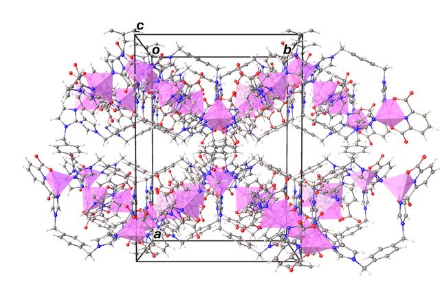 [Figure 6]