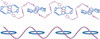 link to html