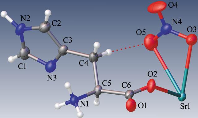 [Figure 1]