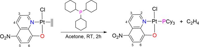 [Figure 1]