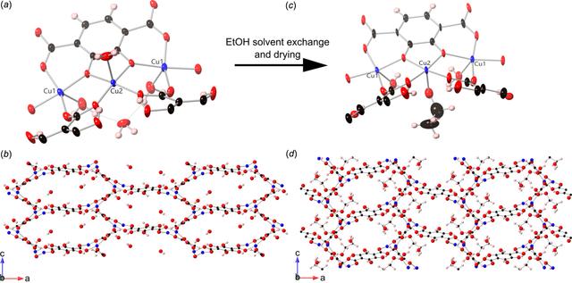 [Figure 1]