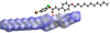 [Figure 5]