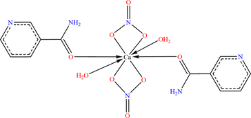 [Scheme 1]