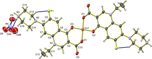 [Figure 1]
