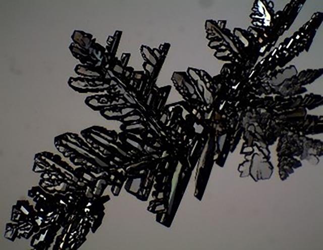 [Figure 10]