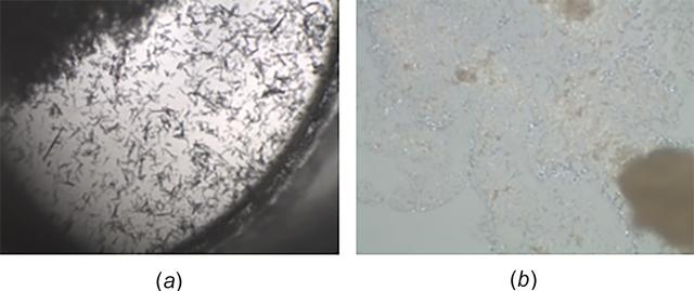 [Figure 11]