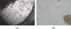 [Figure 11]