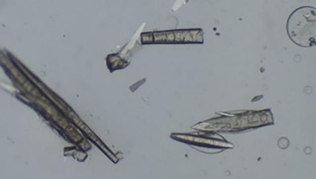 [Figure 13]