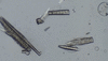[Figure 13]