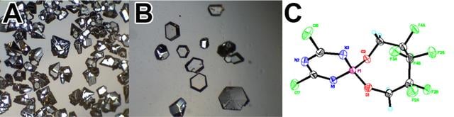 [Figure 7]