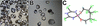[Figure 7]