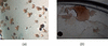 [Figure 9]